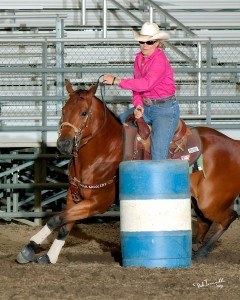 Optimal Horse Health For Barrel Horses By A Barrel Racing Champion