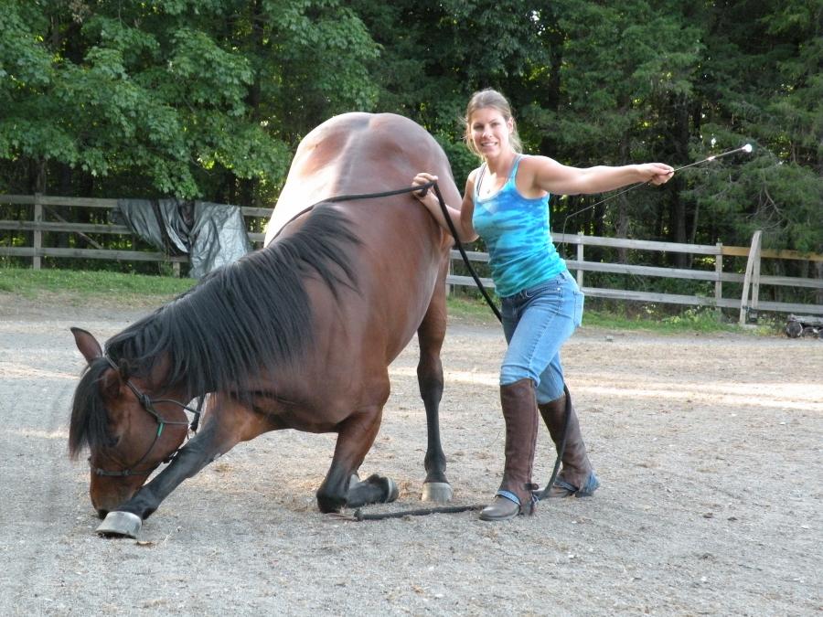  - MelissaGiordanoDesi-triple-crown-nutrition-horse-month-august2012
