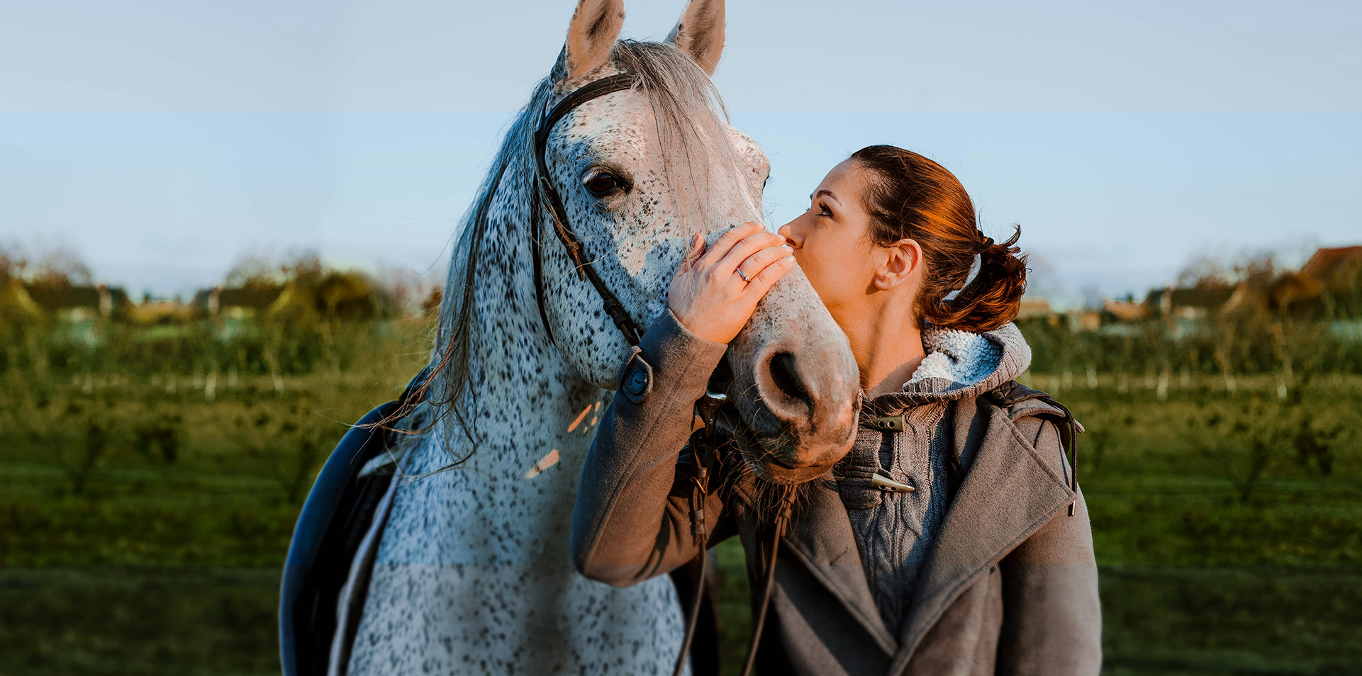 Triple Crown Feed | Premium Horse Nutrition - Triple Crown Feed