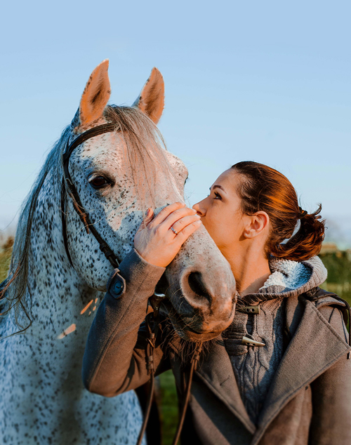 Triple Crown Feed | Premium Horse Nutrition - Triple Crown Feed